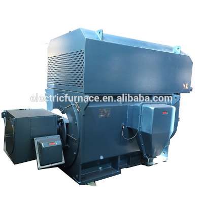 NEMA IEC CE standard induction motor sales