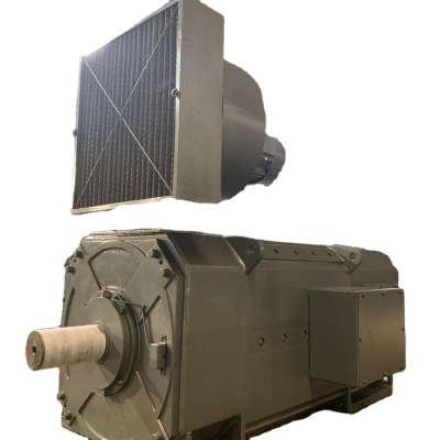 NEMA IEC CE standard induction motor YKS800 dual winding sales, 6kv, RPM895 / 713 , 2000/800 Kw